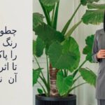 چطور لباس رنگ گرفته را پاک کنیم تا اثری از آن نماند؟